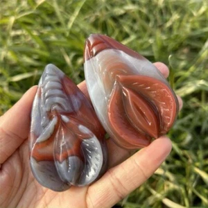 2" Natural Agate Quartz Source Of Life Crystal Sculpture Vagina Heal Carved 1pcs - Picture 1 of 10