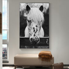 Art Silk Canvas Poster wild Horse Black White Animal Paint Wall Print Decor C035