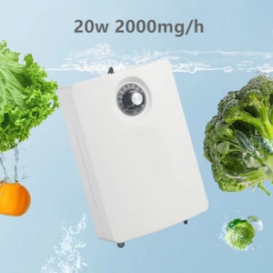 20W 2000mg/h Ozone Generator Machine Portable Ozone Water Vegetable Sterilizer - Picture 1 of 15
