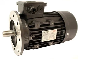 Motor eléctrico trifásico 400 V TEC 2 polos 3000 rpm con brida de pie montaje facial - Imagen 1 de 11