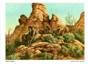 DUCKS UNLIMITED PRINT "DESERT SHEEP" Canadian Mallard Pintail DU GROUSE MOOSE - Bild 1 von 1