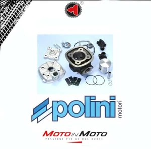 Gruppe Thermisch Zylinderkit Polini 140.0183 Piaggio NRG Ntt Quartz Zip 50 2T LC - Bild 1 von 2