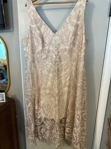Xscape Abito Midi Ricamato in Pizzo in Blush 22W - Foto 1 di 11