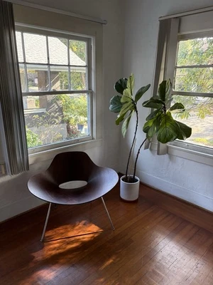 Silla Largo grande en nogal curvado de Emmemobili Italia años 70. MCM Vintage Foto 1 de 4