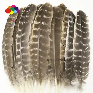 New 10/20/50pcs precious wild turkey wings feathers 20-30/8-12 inches - Picture 1 of 7