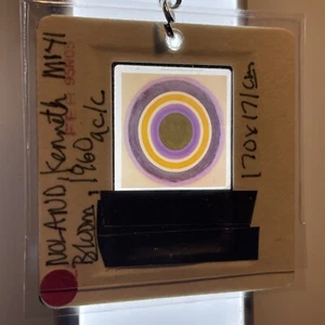 Kenneth Noland “Bloom” Vintage 35mm Slide Art Keychain 264 - Picture 1 of 4
