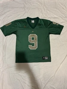 Tony Rice Notre Dame Fighting Irish Adidas Forever Sport Jersey (Men’s S) - Picture 1 of 9