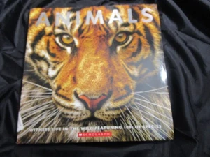Animals: Witness Life in the Wild Featurin  Scholastic, paperback - Picture 1 of 1