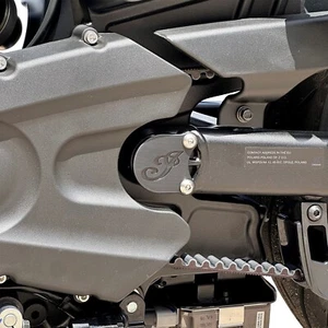 Indian Scout Billet Alu Schwingenbolzenabdeckung von MSR (schwarz eloxiert) - Bild 1 von 2