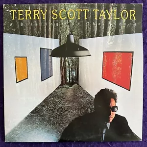 TERRY SCOTT TAYLOR A Briefing For The Ascent LP FRONTLINE Xian AOR Alt Rock NM - Imagen 1 de 7