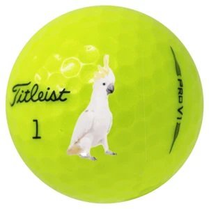 24 Titleist Pro V1 gelb 5A gewaschen gebrauchte Golfbälle Titleist gemischte Ausrichtung Mar - Bild 1 von 1