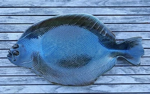 Plato Rosalie Nadeau Pottery Fluke Summer Platija Forma Pez 18"x10" Firmado - Imagen 1 de 16