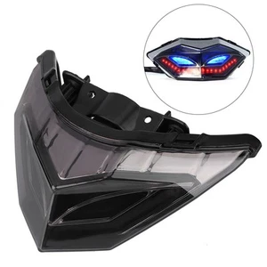 Motorcycle Tail Light &Turn Signal Brake Lamp Fits For 300 250 250R - Picture 1 of 10