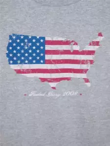 SHIRT mit amerikanischer Flagge abgenutzt LARGE kontinentale USA 4. Juli GRAU verblasster Ruhm - Bild 1 von 2