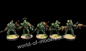 Striking Scorpions Xenos Armies Craftworlos Warhammer 40K Pro Painted Army model - Picture 1 of 4