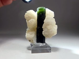 Dark Green Elbaite Tourmaline Crystal with Gem Cap & Muscovite Cape - Picture 1 of 13
