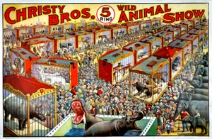 Christy Bros. Wild Animal Show Circus Poster Print 17 x 11 Giclee Print - Picture 1 of 1