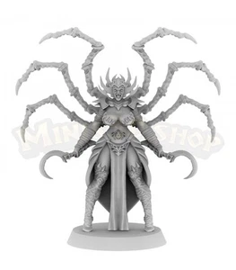 Arachnia Sombrascura - Picture 1 of 4