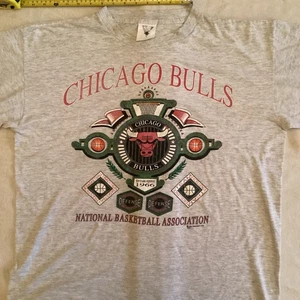 Camiseta vintage años 90 Chicago Bulls L 1991 gris SSI - Imagen 1 de 10