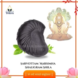 Sarvottam Narismha Shaligram Shila - EBS39 - Bild 1 von 6