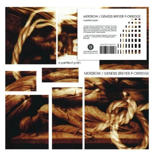 MERZBOW / GENESIS BREYER P-ORRIDGE A perfect Pain CD Digipack 2018 - Bild 1 von 1
