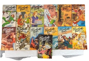 Elizabeth Gail Books Hilda Stahl Christian Teen 1980’s VTG fiction lot Fostering - Picture 1 of 6