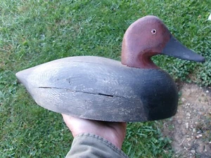 VINTAGE CANVASBACK DUCK DECOY W/ GLASS EYES - Picture 1 of 8