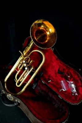 Cuerno alto King Altonium en F - Usado, acabado dañado, estuche rígido incluido Foto 1 de 4