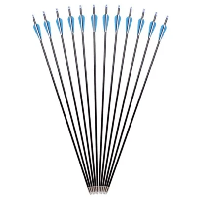 31” 12 Fiberglass Arrow Composite Recurve Bow Hunting Target SP900 - Image 1 of 4