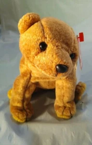 Ty Beanie Baby Pecan The Bear Plush Toy - 4251 - Picture 1 of 6