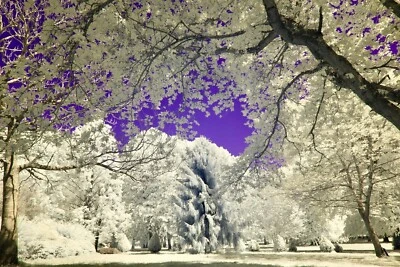 ZWB2 UV Pass Filter 52mm,  for Full Spectrum Modified Cameras   ** See Video ** - Image 1 of 4