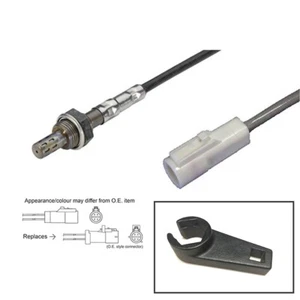 Sensor de oxígeno lambda para Ford Focus (2002-2004) 3.0 6.0 ST170 + toma trasera - Imagen 1 de 1
