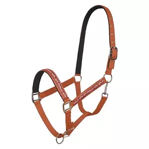 HV Polo Halfter HVPNena Fox braun - Bild 1 von 1