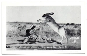 Exaggeration Printed Postcard Conard Number C-5 Hunter Shotgun Large Rabbit - Picture 1 of 2