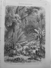 1863 I Mexico War France Camp Cavalry Foret Chiquihuite Tents