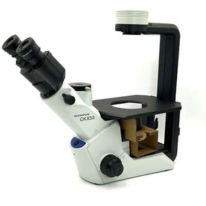 New - Olympus CKX53SF Inverted Microscope - No Objectives - Picture 1 of 10