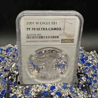Prueba 2001 W S$1 American Silver Eagle NGC PF70UC Moderna Etiqueta Marrón Como Nueva! Foto 1 de 4