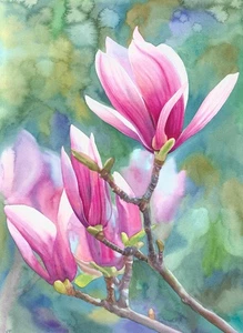 original painting 30 x 40 cm 78PV artwork watercolor realism flowers magnolia - Picture 1 of 4