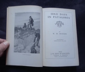 IDLE DAYS IN PATAGONIA by W H Hudson: Travel Expeditions South America 1924. - Picture 1 of 13