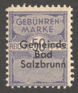 AOP Germany Poland Bad Salzbrunn invenue stamp 50rfg MNH