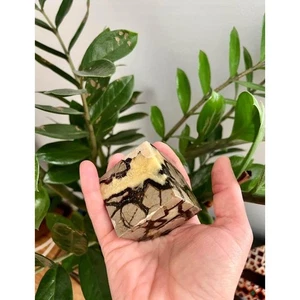 High Quality Cut Base Septarian Cube - Picture 1 of 6