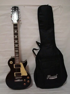 Professional 12 String Electric Guitar Black Brand New - Picture 1 of 3