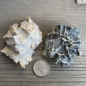 2pcs Natural Gobi stone ventifact for Bonsai Suiseki pj925 - Picture 1 of 4