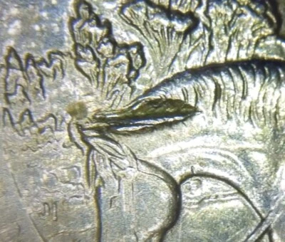 2016P Quarter Theodore Roosevelt Struck Through Horse + Grease Mint Error Coin - Image 1 of 3