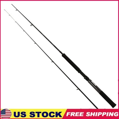 Crappie Hunter Spinning Fishing Rod IM-6 Graphite Durable Lightweight 10ft New - Image 1 of 4