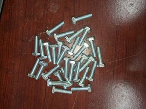 30 viti a tappo esagonale zinco 1/4 - 20 x 1" - Foto 1 di 2