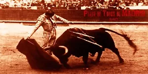 Bullfighting Vintage Poster #48 - Canvas Art Poster 12"x 24 - Picture 1 of 1