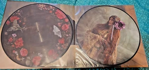 Florence + The Machine - Dance Fever (Deluxe Limited Edition, Picture Vinyl) - Picture 1 of 3