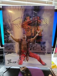 Foto d'ingresso autografata firmata Shawn Michaels 16x20 COA Highspots HBK Auto - Foto 1 di 4
