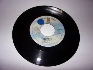 Andrew Gold: Lonely Boy / Must Be Crazy / Jukebox 45 / 1976 / Asylum 45384 - Imagen 1 de 2